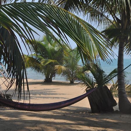 Hotel Sabal Beach Monkey River Town Exteriér fotografie