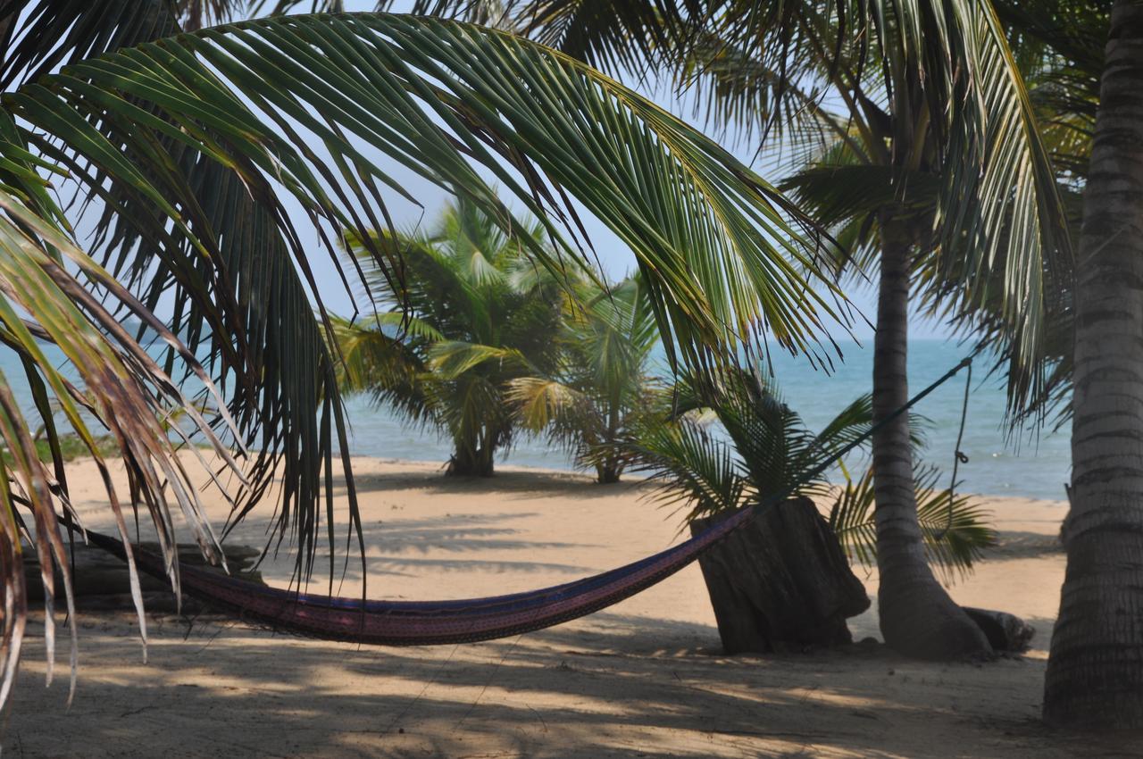 Hotel Sabal Beach Monkey River Town Exteriér fotografie