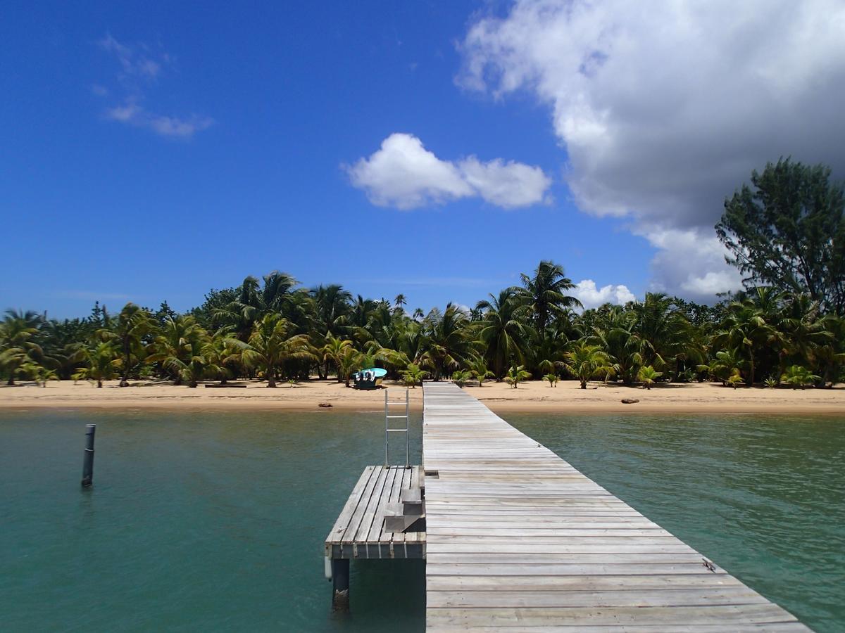Hotel Sabal Beach Monkey River Town Exteriér fotografie